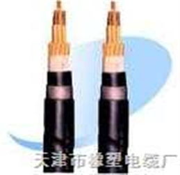 RVZ与RVZ电力电缆 规格、特点与应用全解析